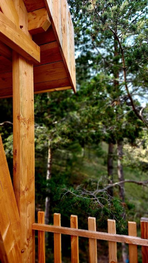 Lodge L'empreinte Saint-Etienne-de-Tinee